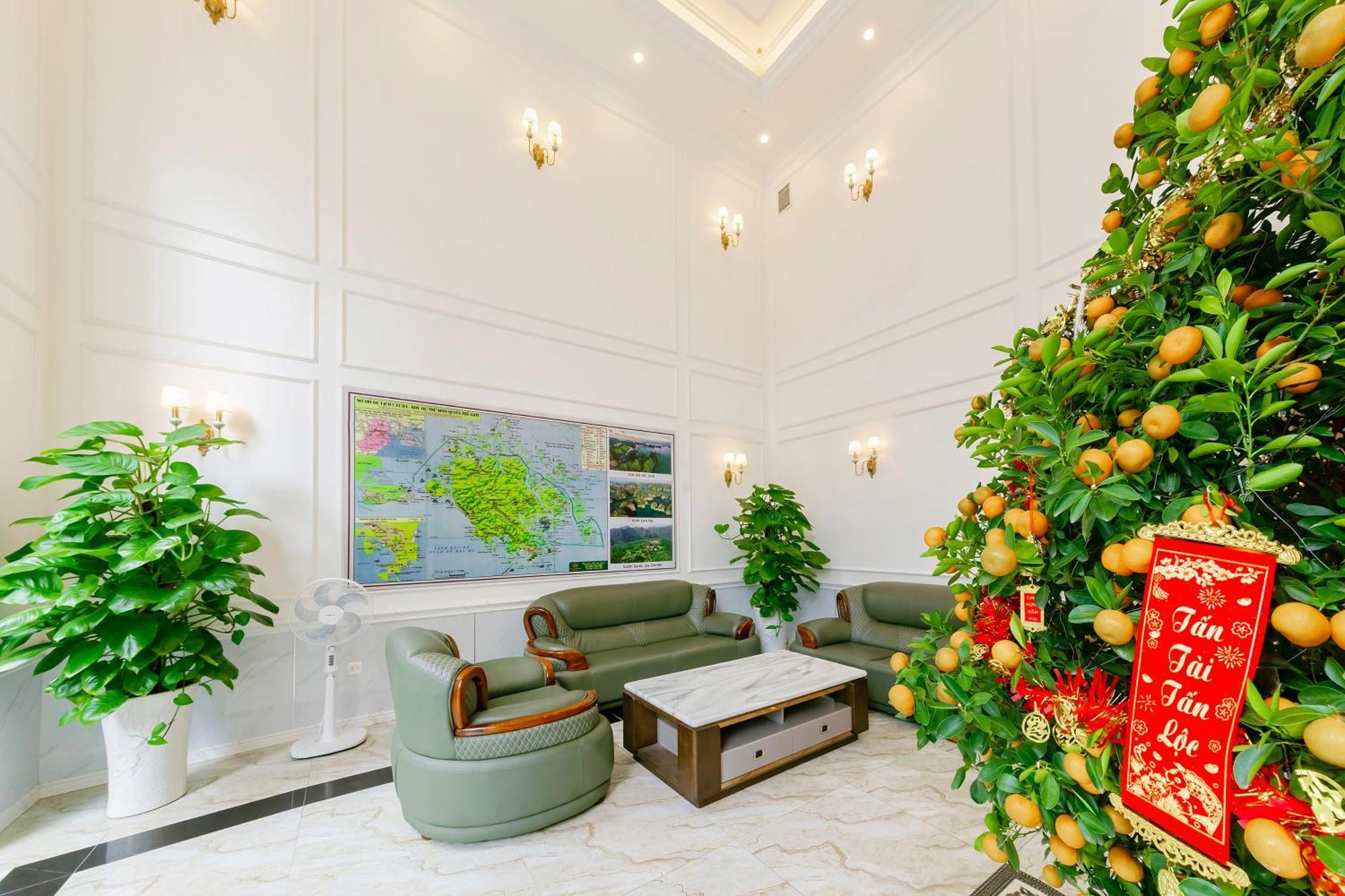 Cat Ba Wonder Hotel Dong Khe Sau エクステリア 写真